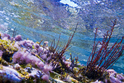 海底