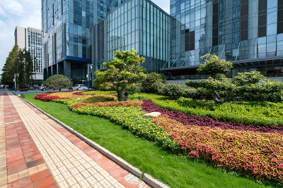 中国青岛城市道路景观与办公楼