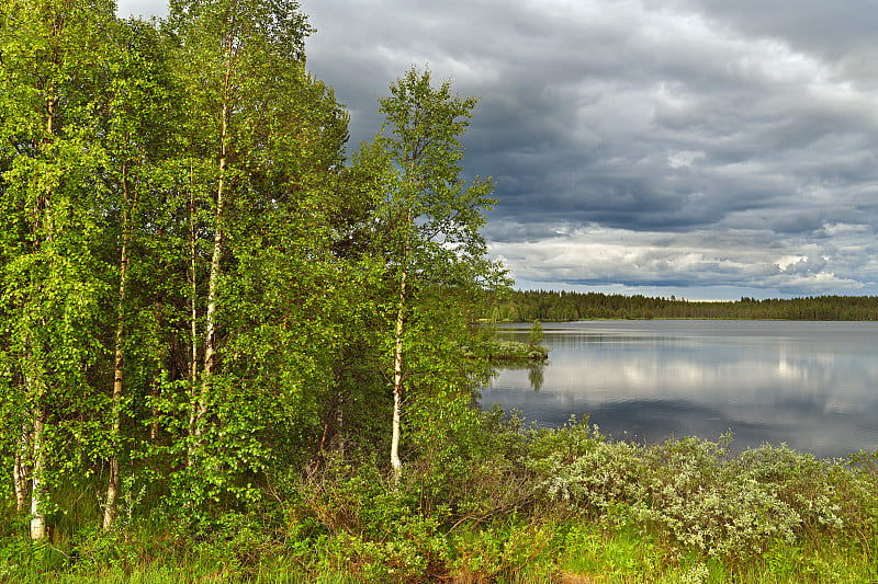 芬兰拉普兰风景如画的北部森林湖，在冰冷的水中倒映着云朵。Kuusamo