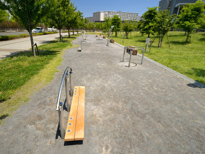 公园里安装的健康玩具