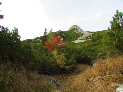 高山景观