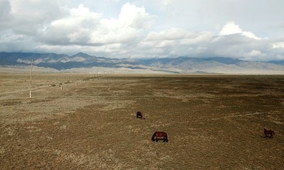 俄罗斯美丽的风景，有山脉和草原的景色。鸟瞰图的景观放牧野生棕色马在草原上。俄罗斯，西伯利亚，图瓦共和