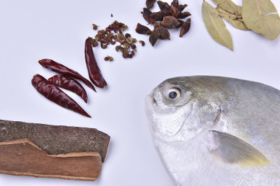 Fresh pompano and a variety of spices on white bac
