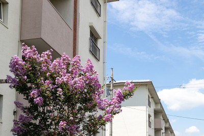 20世纪60年代的老住宅综合体，船桥，千叶，日本