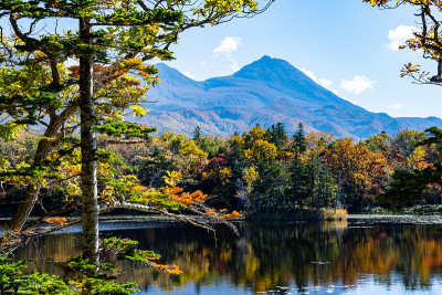 知子五湖(知子五湖)[第三湖]和知子山的秋叶，知子，北海道，日本