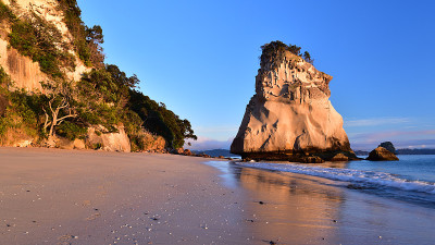 早上在新西兰Hahei附近的Cathedal Cove