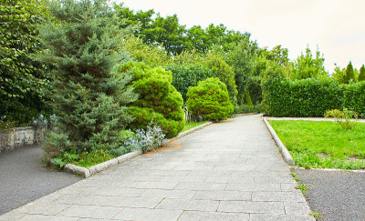 在夏季公园里用小路装饰花园。