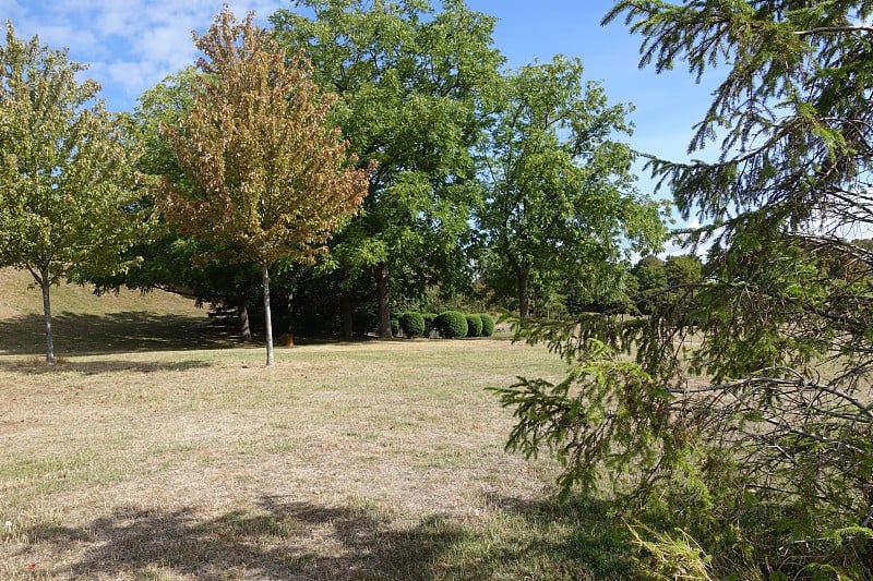 绿树成荫的公园蔚蓝的天空映衬着云雾干旱的夏季île-de-France