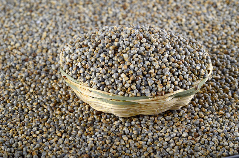 Bajra(珍珠粟)在木(竹)篮子里