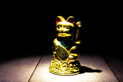 日本猫maneki neko在暗处
