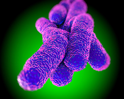 Legionella Pneumophila Bacteria, artwork