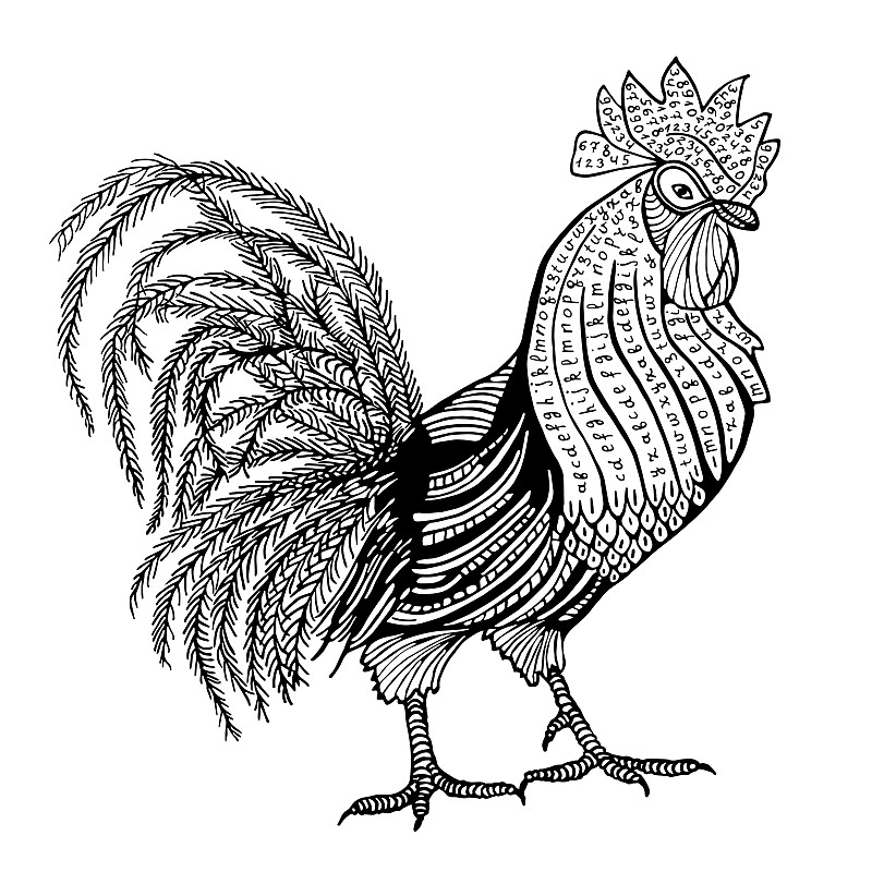 Rooster hand drawn with letters and numbers