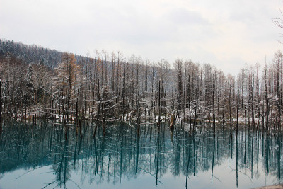 池塘碧蓝，初冬别