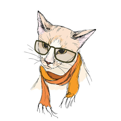 Hipster cat in modern scarf and glasses