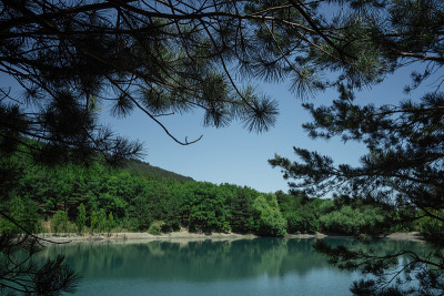 透过落叶树的树枝，美丽的山景。