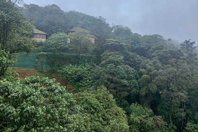 仰望群山。梯田植被和小屋。