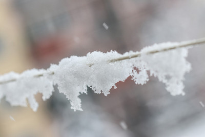 雪中晾衣绳