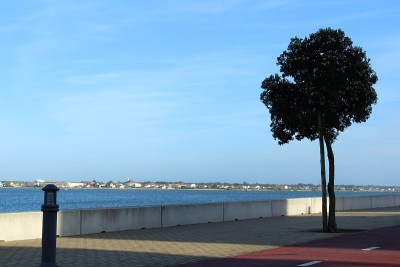 Nova海岸