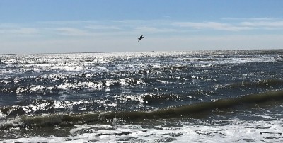 海景和海滩