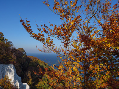 鲁根岛
