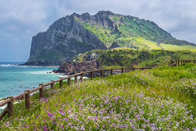 济州岛