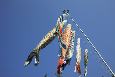 鲤鱼等浮电缆