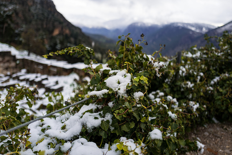 德尔斐被大雪覆盖