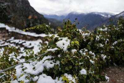 德尔斐被大雪覆盖