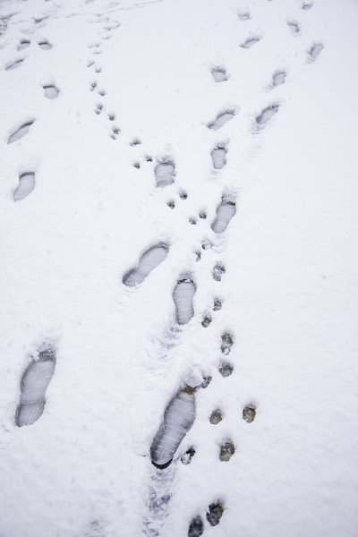 脚印在雪地