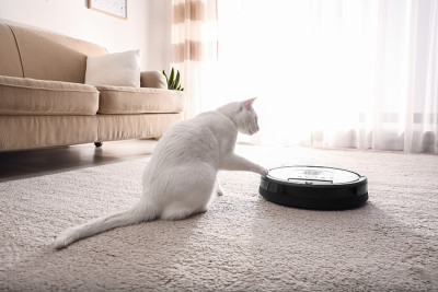 现代机器人吸尘器和可爱的猫在室内地板上