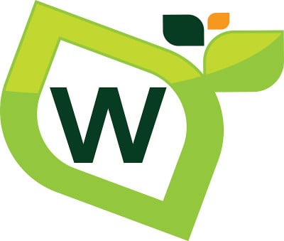 叶初始W
