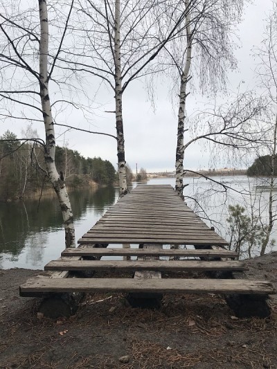 桥为跳入湖中，春意盎然
