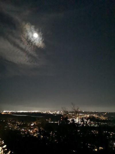 汉密尔顿了望
