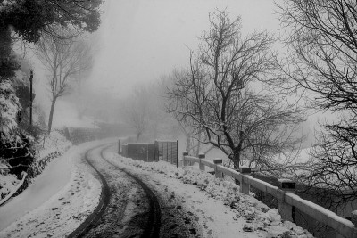 雪的土地