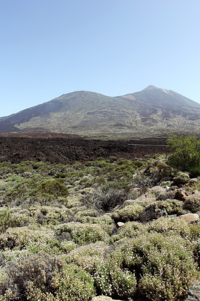 泰德火山-特内里费岛