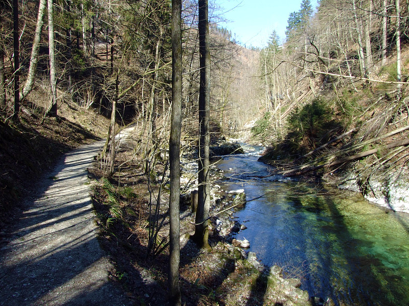 Vintgar Gorge或Radovna River (Soteska Vintgar ali B