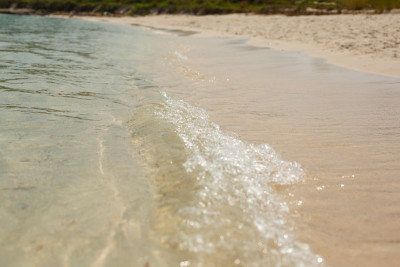 阳光照在水面上。砂质底。海浪和泡沫在海岸上