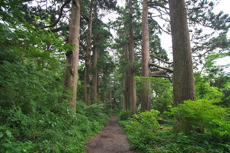 老箱根海斗路