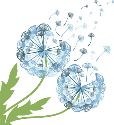 概念蒲公英插图。向量