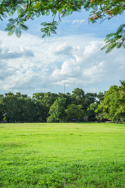景观采用草地和绿色环境的公共公园作为自然背景、背景。