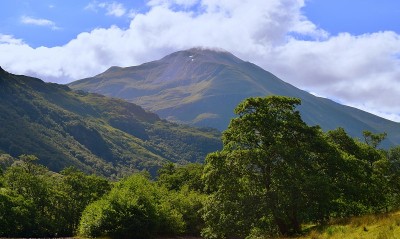 山