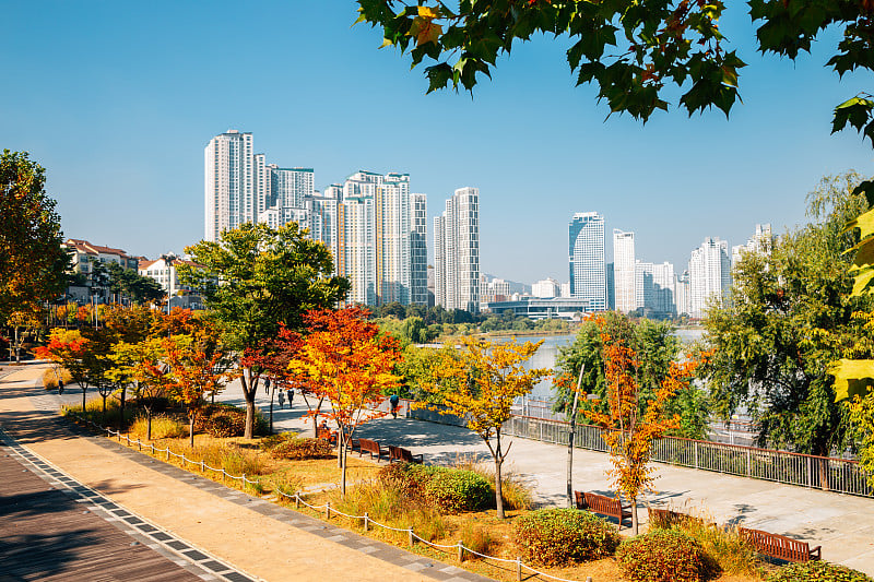 秋天，韩国水原，现代摩天大楼和光阳湖公园