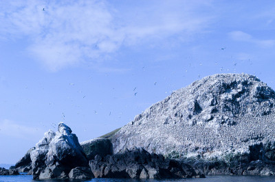 基地在9月Îles，布列塔尼，法国