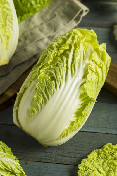 生绿色有机白菜