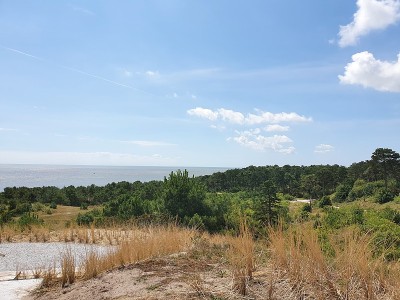 瓦登岛维利兰，荷兰