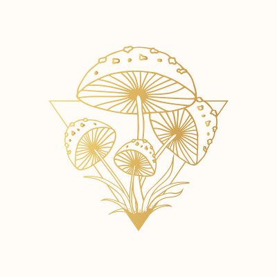 金色的迷幻蘑菇。金花菌类、菌类。