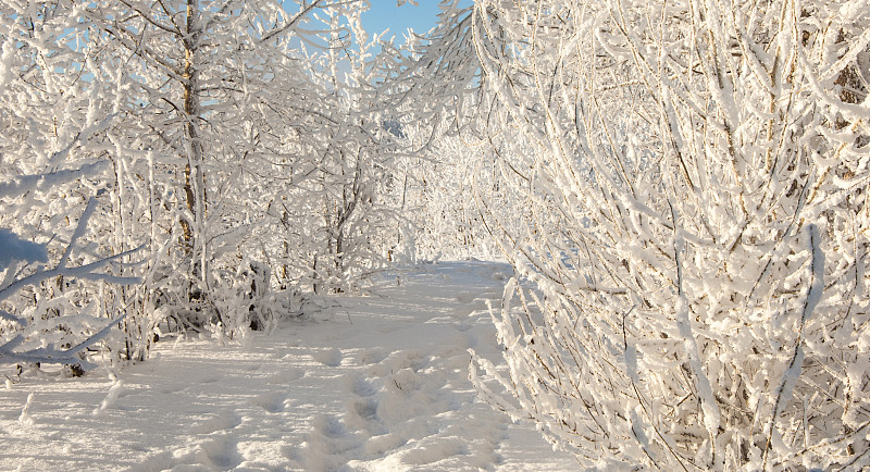 冬天,winter-tide,冬季