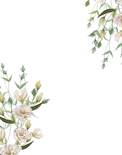 一帧白玫瑰。Eustoma。孤立在白色背景上。