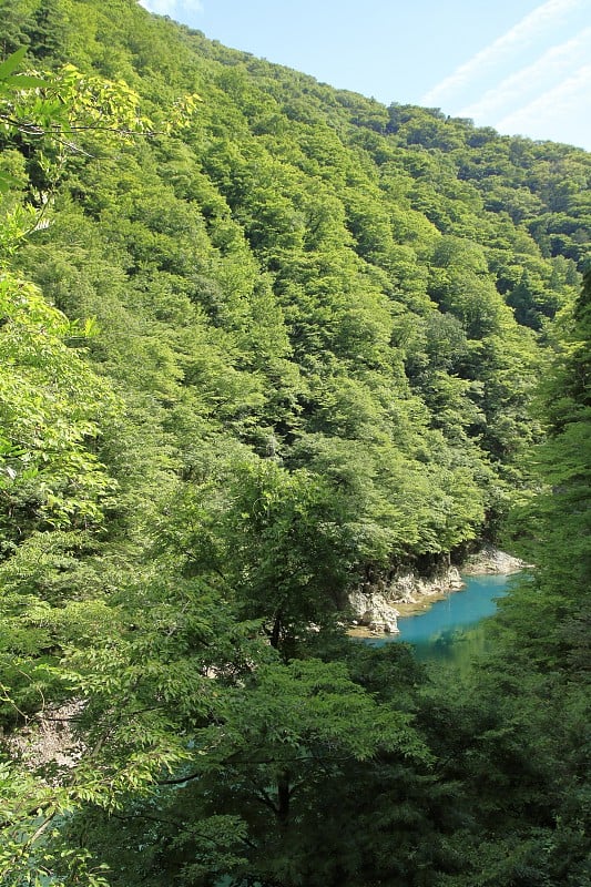 日本明田森博库的大崎里峡谷