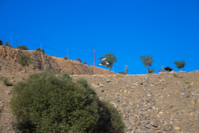 以拉齐格的哈扎尔湖(Elazığ)是该地区最重要的自然资产之一。